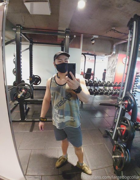 largedogcollar onlyfans explicit content