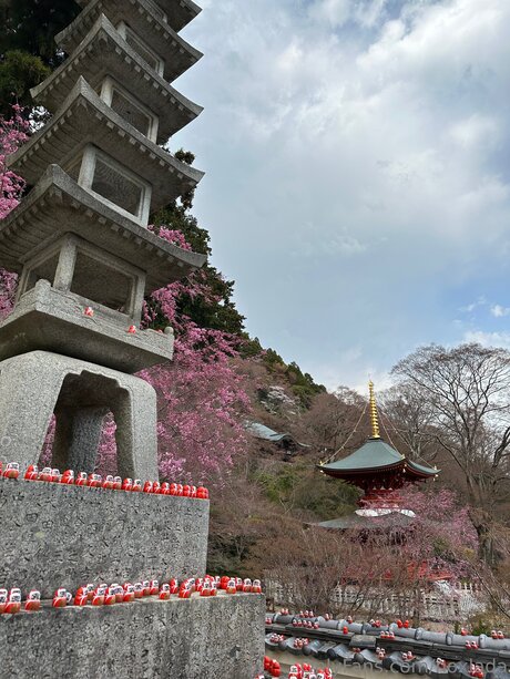 Noxlada leaked only fans