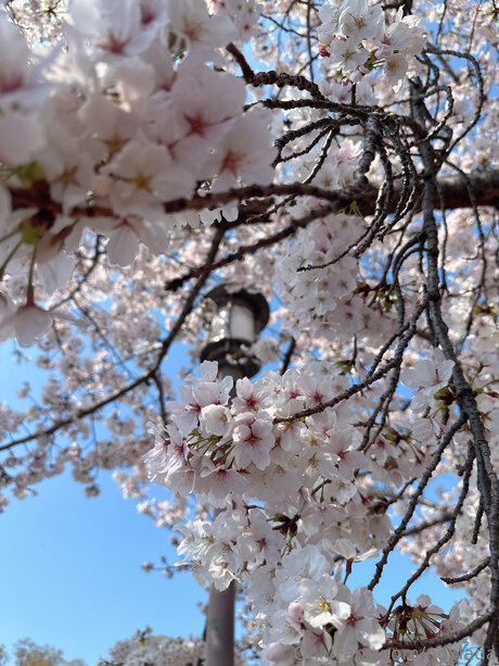 Noxlada only fans leak nude