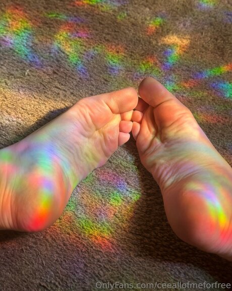 Ceeallofmeforfree free onlyfans