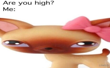 Liilwitch onlyfans porn free