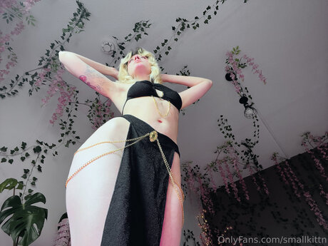 My Blushy Kittn Free new onlyfans leak