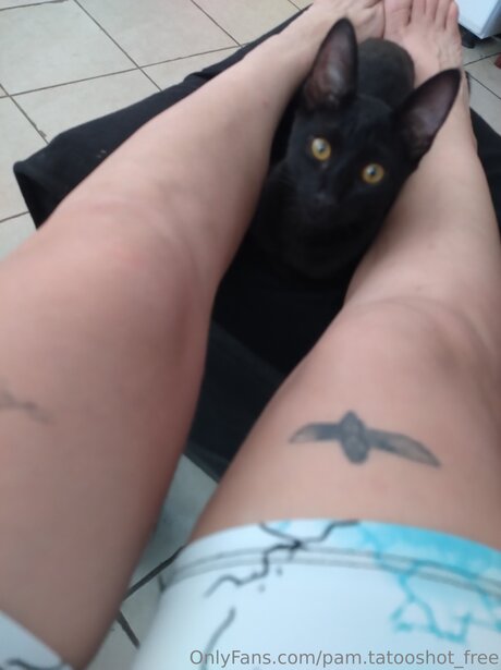 Pam Tatooshot Free onlyfans sextape leak