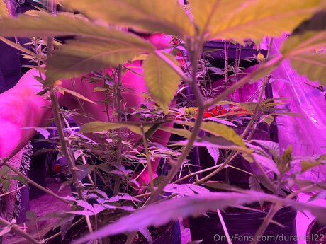 Duracell22 leaked onlyfans nudes