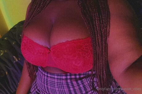 Sunset Vibes Profile pic