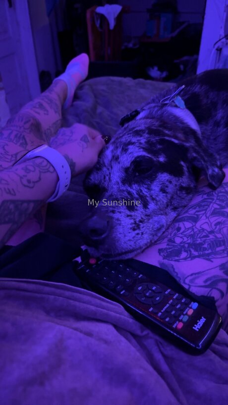 Lovebug911 new onlyfans leaks