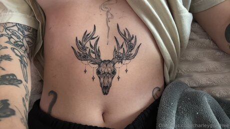 Charleygrayfree onlyfans leaked