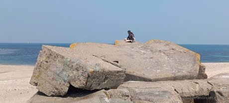 Poilsdesorcier Efree onlyfans leaked dirtyship