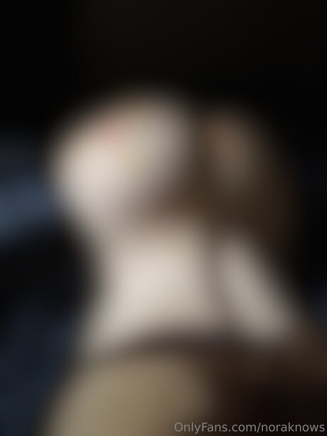 Noraknows only fans leaks