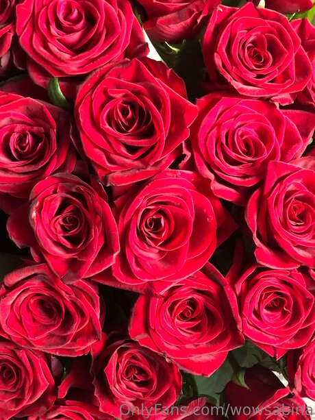 Wowsabina onlyfans porn nude