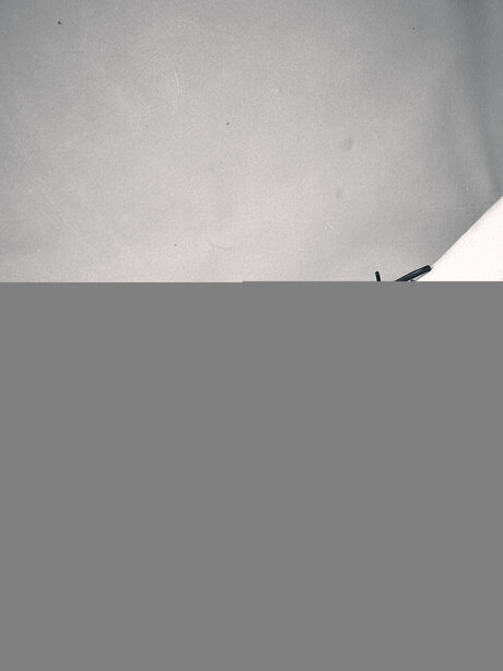 Rholdphoto nudes onlyfans