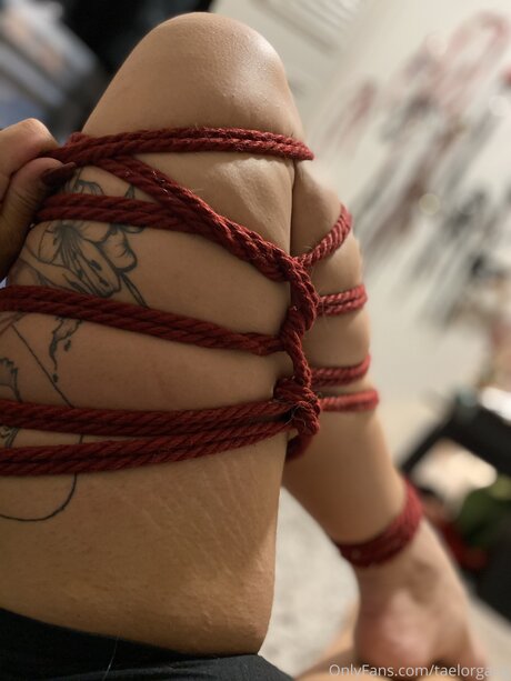 Taelorgang onlyfans leajs