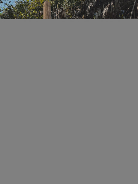 Stucklikehoney only fans free