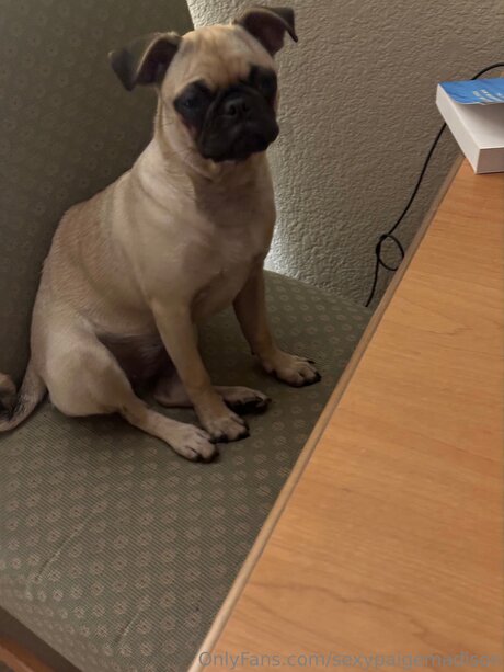 Sexypaigemadison onlyfans photos