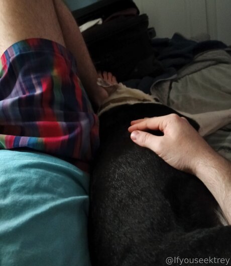 Ifyouseektreyfree nude onlyfans leaked