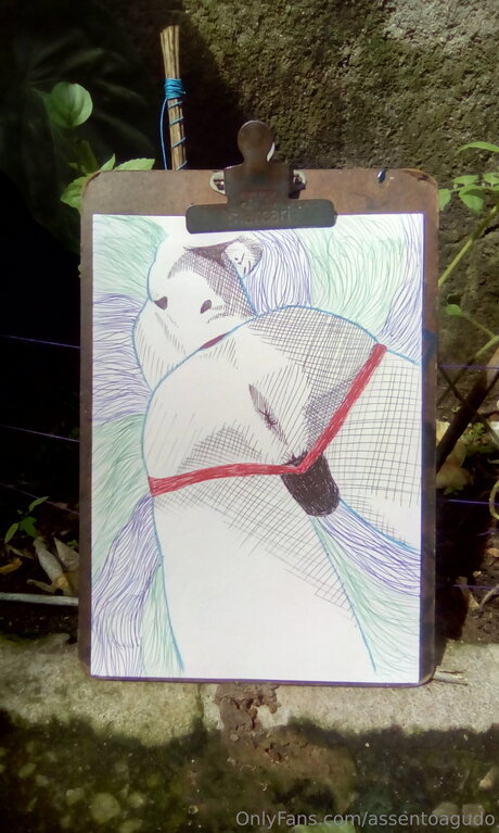 Assentoagudo nudes onlyfans leaked