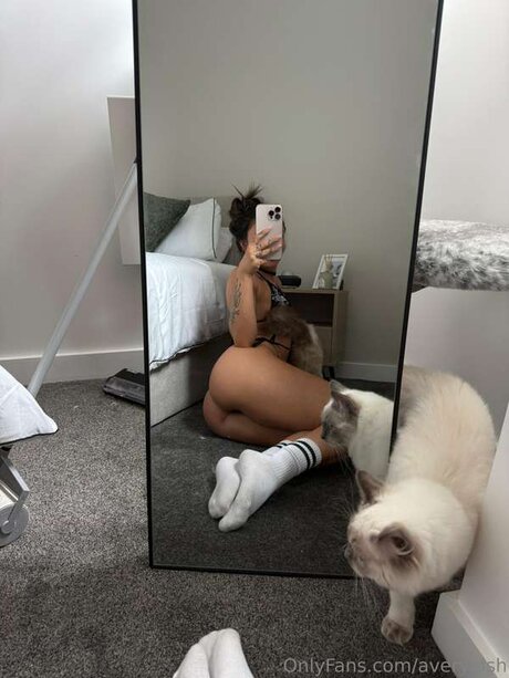 Averyelsh leaked nudes onlyfans