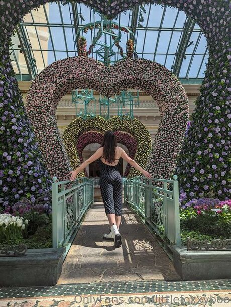 Littlefoxxyboo onlyfans leaked