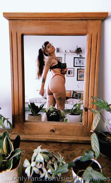 Siestitaymimos is on onlyfans