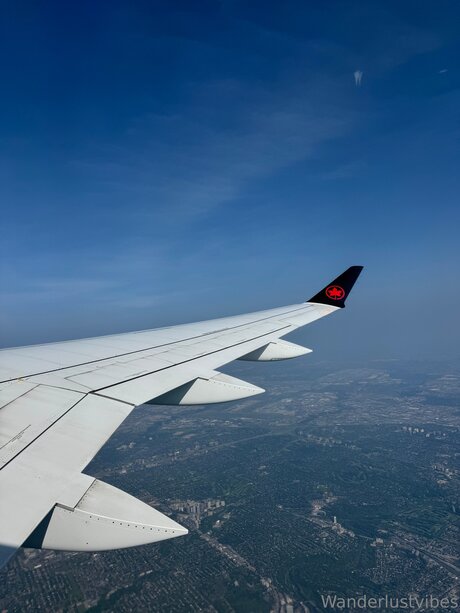 Wanderlustvibes leaked nude onlyfans