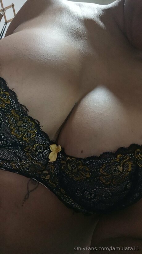 Lamulata11 onlyfans leams