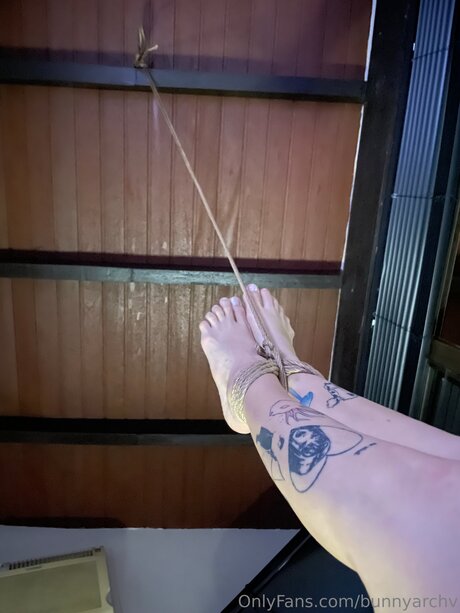 Bunnyarchv onlyfans nudes