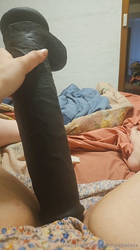 Sierrarebelxxx onlyfans leaked dirtyship