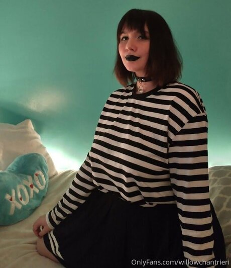 Willowchantrieri onlyfans tits