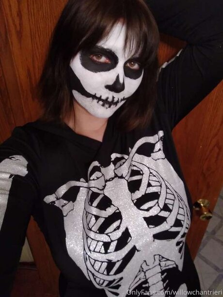 Willowchantrieri Profile pic