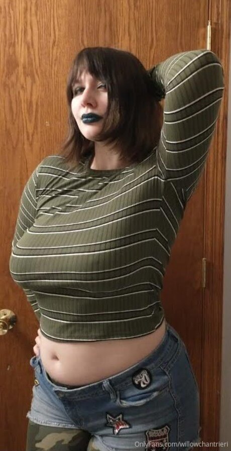 Willowchantrieri onlyfans free content