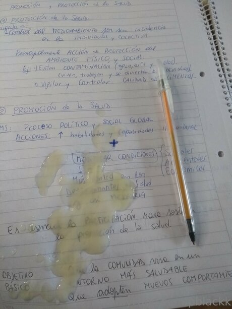 Pierconte onlyfans model