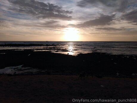 Hawaiian Punch808 onlyfans leak free