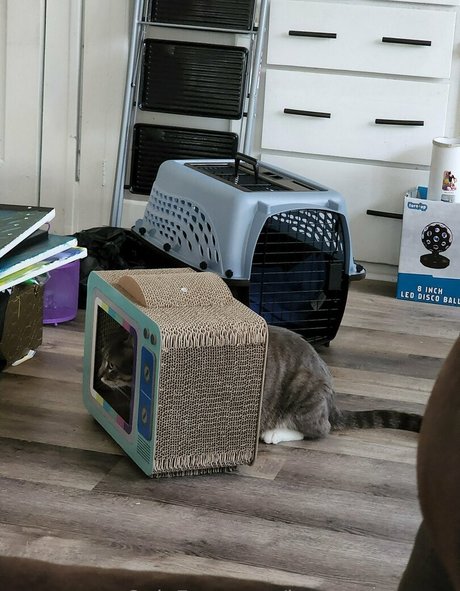 izzy hellbourne only fans leak nude