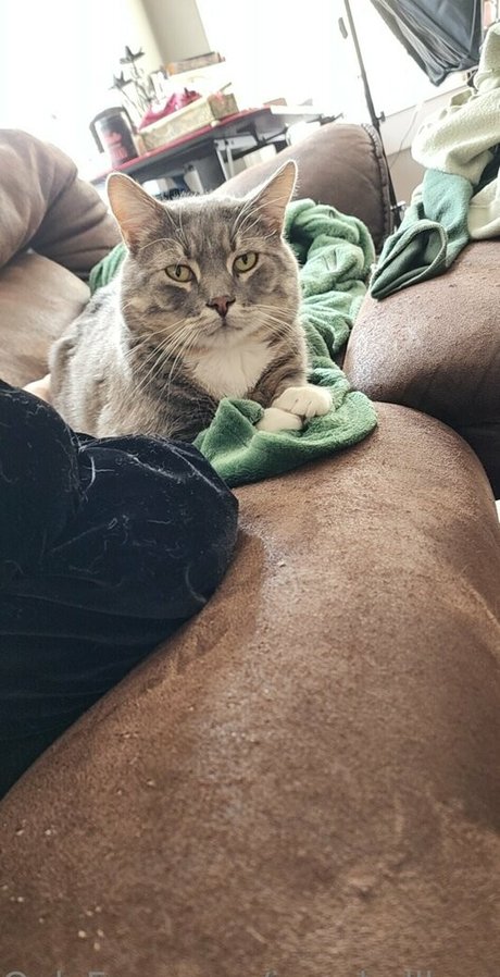 izzy hellbourne only fans nude