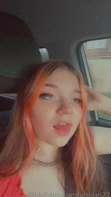 altpup22 onlyfans porn free