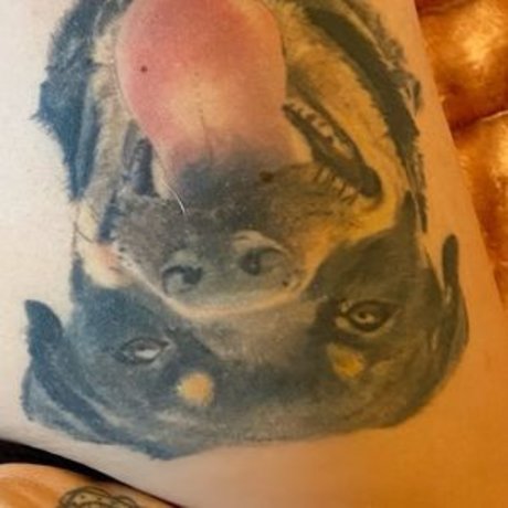 Jodie Marsh nude porn onlyfans