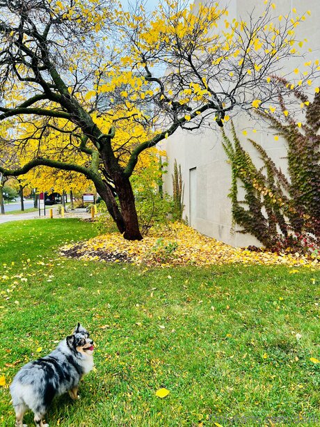 Darli onlyfans free porn