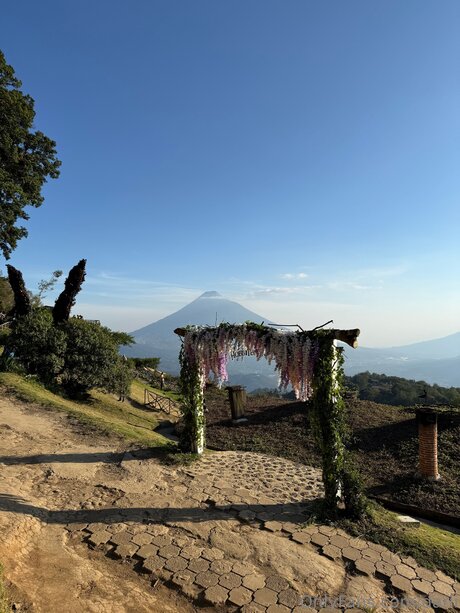 Darli onlyfans porn leaked