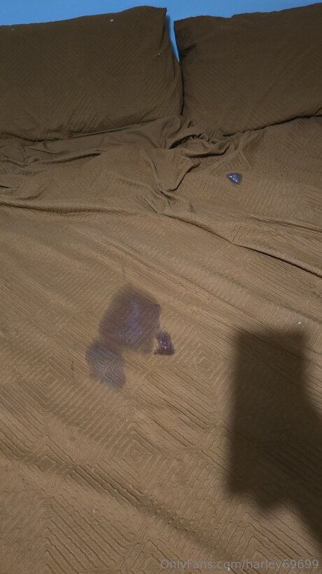 Harley69699 onlyfans free