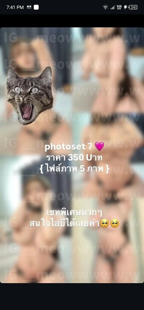 meowmint0 onlyfans leakes