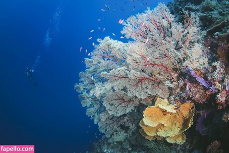 Jessica Segura onlyfans leaked