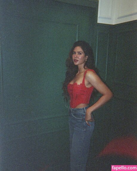 Sonam Bajwa onlyfans joi