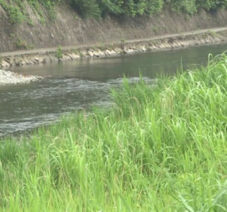 Ryo Ayumi onlyfans nude leaks