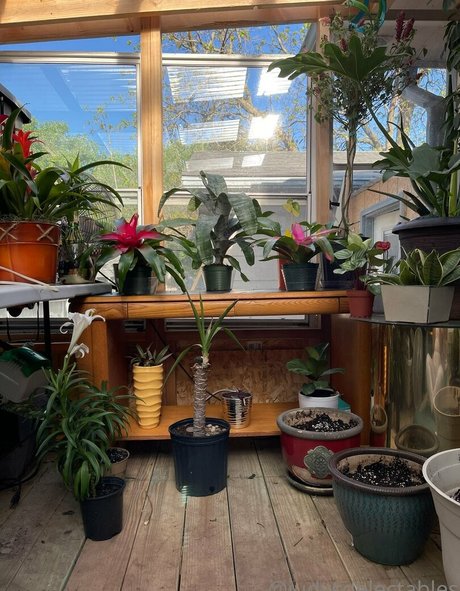 judythegreatfreepage onlyfans nude leaked