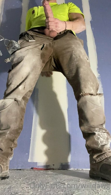 willdawg onlyfans boobs