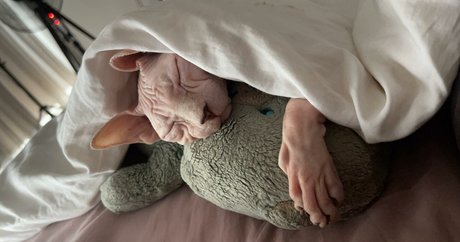 sxvvk onlyfans porn leaked