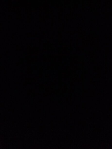 possum only fans leaks porn