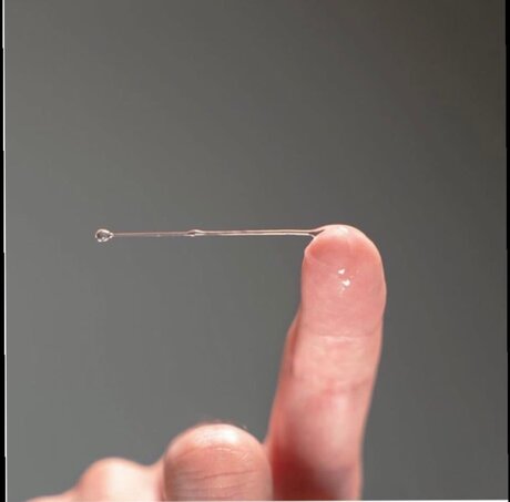 _tommymarlow onlyfans nude photos