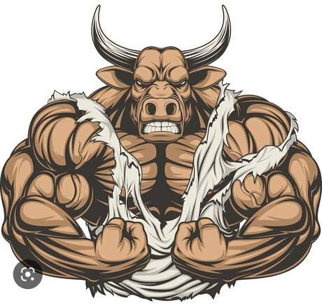 Beefybaltbear nudes onlyfans leaked