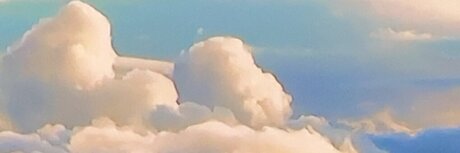 misterdonotdisturb xxx only fans